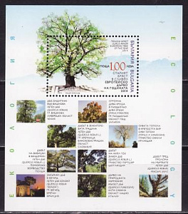 Болгария _, 2014, Дерево года в Европе, Вяз в городе Сливен, блок